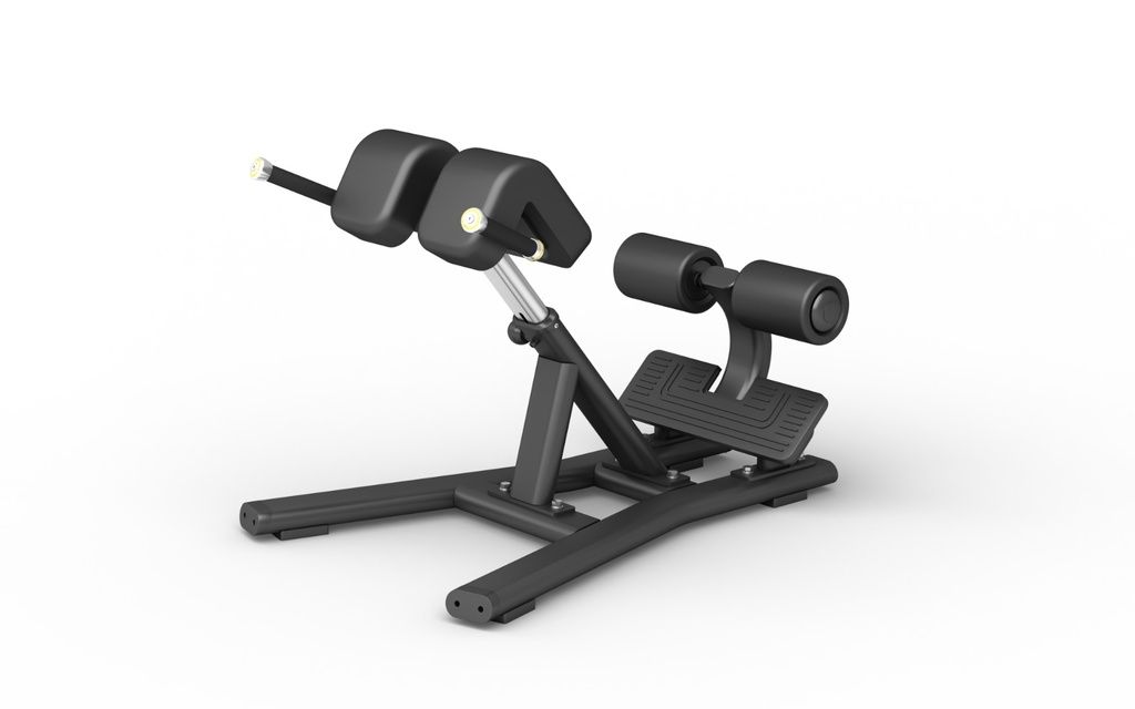 STRIDE Back Extension (roman chair) STRIDE Europe